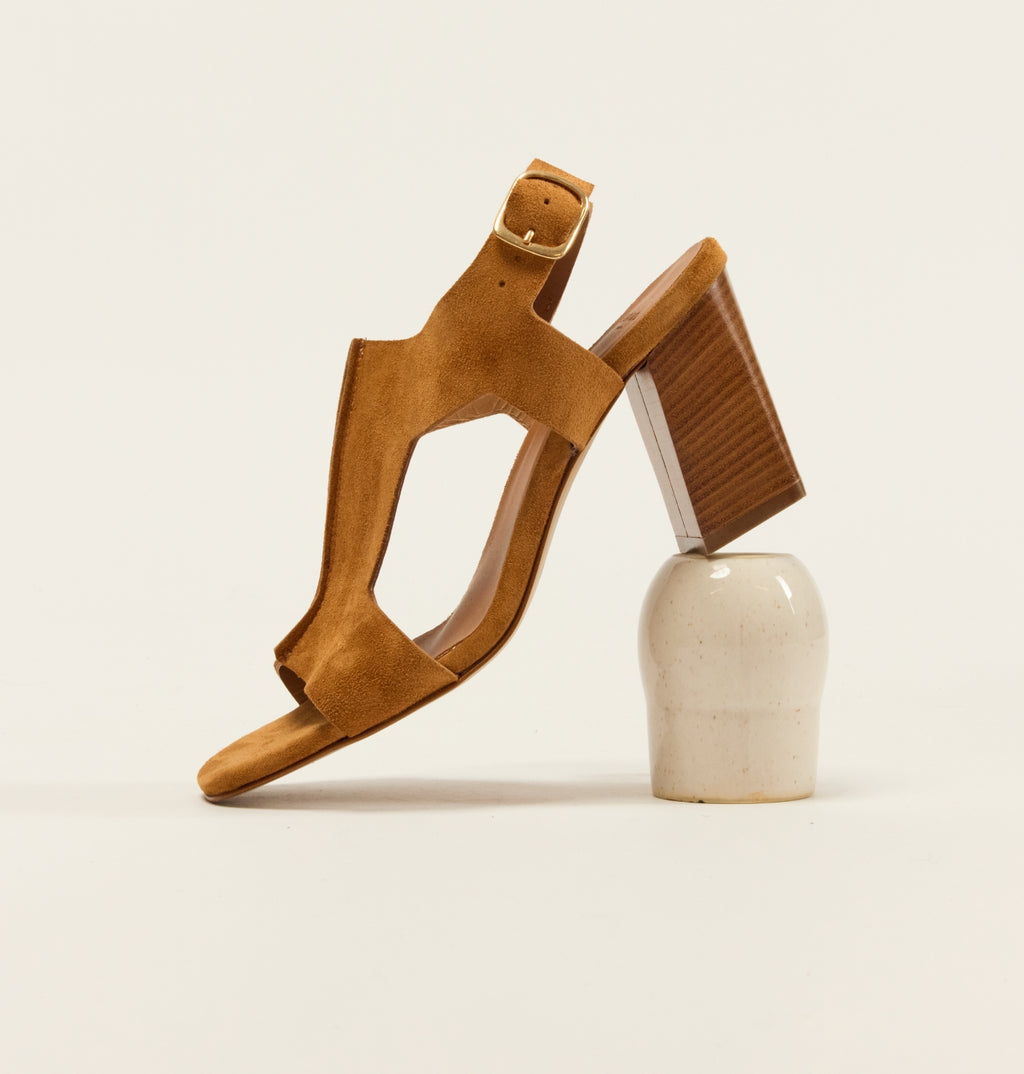 TALONS