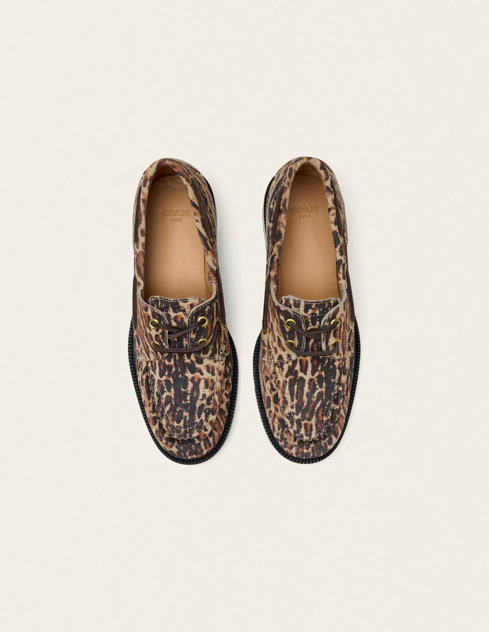 Niza - Sweden Bengal Derbies