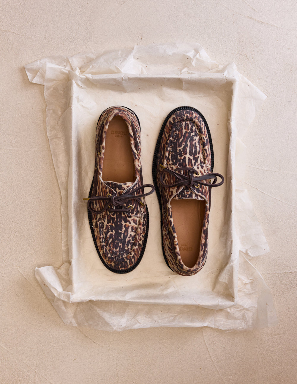 Niza - Sweden Bengal Derbies