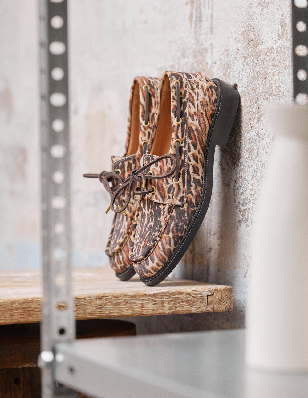 Niza - Sweden Bengal Derbies